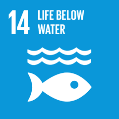 SDG 14 — ทรัพยากรทางทะเล SDG 14 — ทรัพยากรทางทะเล